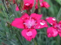 IMG_6021_1024x768.webp