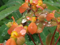 IMG_6026_1024x768.webp
