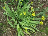 Bild 003a.webp