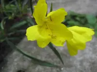 25460.webp