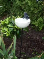Vogelbad.webp