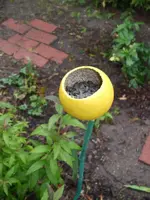 Vogelfutter.webp