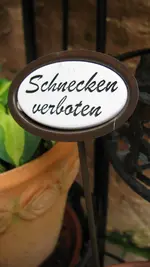 195.webp