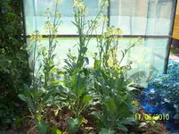 100_0866.webp