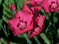 _DSC3821 kleiner.webp