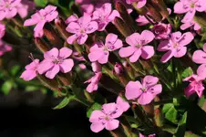 _DSC3838 kleiner.webp