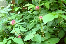 12.06.2010_2.webp