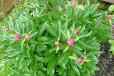 12.06.2010_3.webp