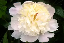 12.06.2010_4.webp