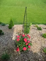 IMG_0988.webp