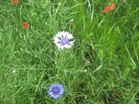 047.webp