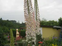 039.webp