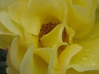 062.webp