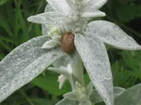 055.webp