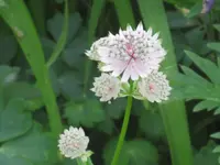 022.webp
