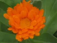 066.webp