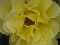 063.webp