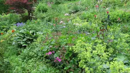 beidebeete (2).webp