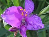 IMG_6044_1024x768.webp