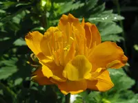 IMG_6049_1024x768.webp