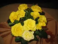 Strauß.webp