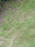 P1030446.webp