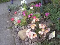 1576.webp