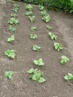 28.5.10 001.webp