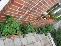 Tag 94_577.webp