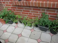 Tag 94_596.webp
