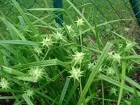 DSC02422-.webp