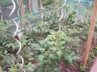100_1219.webp