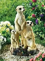 Erdmännchen.webp
