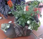 BILD0204.webp
