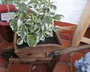 BILD0205.webp