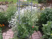 13.06.2010 002.webp