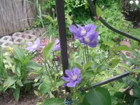 13.06.2010 009.webp