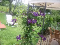 13.06.2010 010.webp