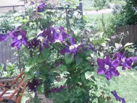 13.06.2010 017.webp