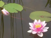 13.06.2010 019.webp