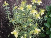13.06.2010 032.webp