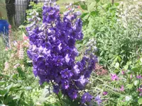 13.06.2010 039.webp