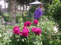 13.06.2010 054.webp