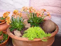 08.05.2010 001.webp