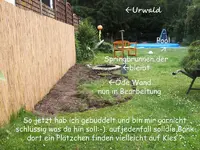 urwald.webp