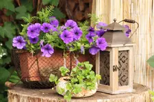 13.06 (25).webp