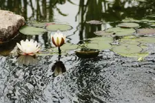 13.06 (15).webp