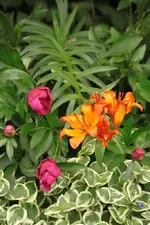 13.06 (24).webp