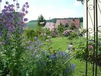 Vorgarten 2.webp