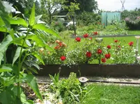 IMG_1513.webp